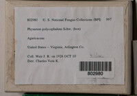 Image Associated With the Occurence
